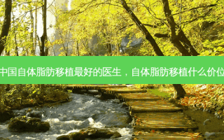 中国自体脂肪移植 *** 的医生，自体脂肪移植什么价位