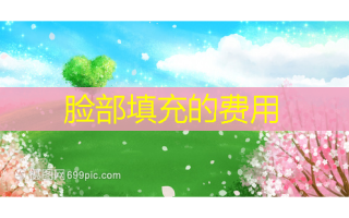 脸部填充的费用