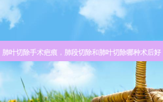 肺叶切除手术疤痕，肺段切除和肺叶切除哪种术后好