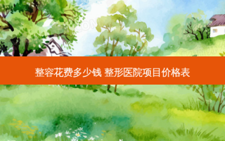 整容花费多少钱 整形医院项目价格表