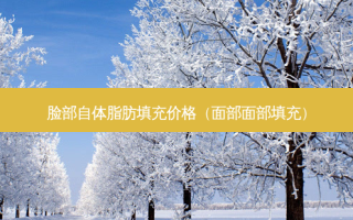 脸部自体脂肪填充价格（面部面部填充）