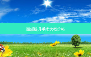 面部提升手术大概价格