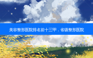 美容整形医院排名前十三甲，省级整形医院