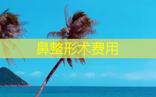鼻整形术费用