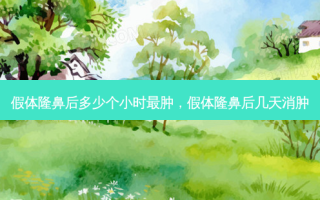 假体隆鼻后多少个小时最肿，假体隆鼻后几天消肿
