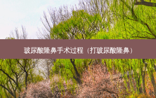 玻尿酸隆鼻手术过程（打玻尿酸隆鼻）