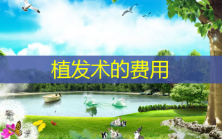 植发术的费用