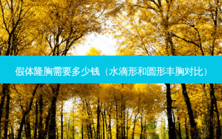 假体隆胸需要多少钱（水滴形和圆形丰胸对比）