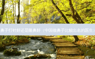 鼻子打针好还是隆鼻好（中国做鼻子比较出名的医生）