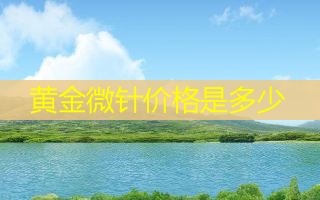 黄金微针价格是多少