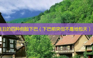 丑的四种侧脸下巴（下巴前突但不是地包天）
