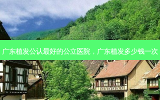 广东植发公认 *** 的公立医院，广东植发多少钱一次