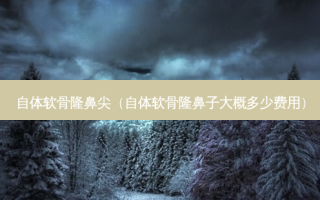 自体软骨隆鼻尖（自体软骨隆鼻子大概多少费用）