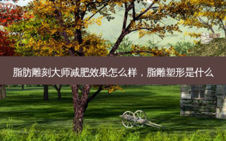 脂肪雕刻大师减肥效果怎么样，脂雕塑形是什么