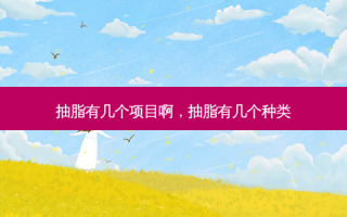 抽脂有几个项目啊，抽脂有几个种类