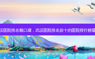 武汉医院排名顺口溜，武汉医院排名前十的医院排行榜最新