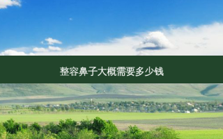 整容鼻子大概需要多少钱