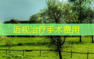 近视手术费用