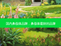 国内鼻假体品牌，鼻假体 *** 的品牌