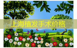 上海植发手术价格