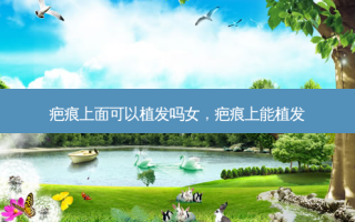 疤痕上面可以植发吗女，疤痕上能植发