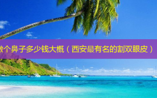 做个鼻子多少钱大概（西安有名的割双眼皮）