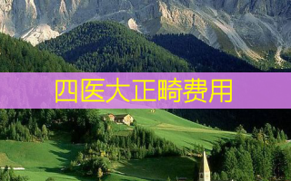 四医大正畸费用