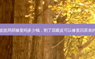 割双眼皮能局部修复吗多少钱，割了双眼皮可以修复回原来的样子吗