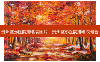 贵州整形医院排名表图片，贵州整形医院排名表最新