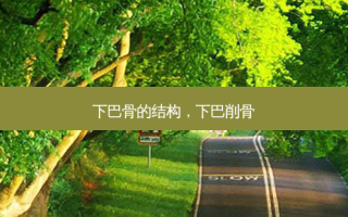 下巴骨的结构，下巴削骨