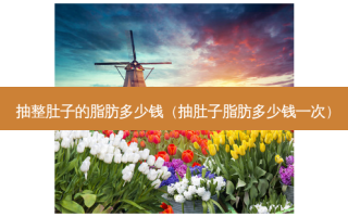 抽整肚子的脂肪多少钱（抽肚子脂肪多少钱一次）