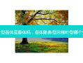 柳叶型假体是膨体吗，假体隆鼻l型和柳叶型哪个 *** 