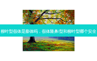 柳叶型假体是膨体吗，假体隆鼻l型和柳叶型哪个 *** 