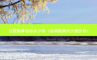 硅胶隆鼻假体多少钱（假体隆鼻的大概价格）