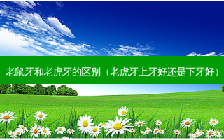 老鼠牙和老虎牙的区别（老虎牙上牙好还是下牙好）