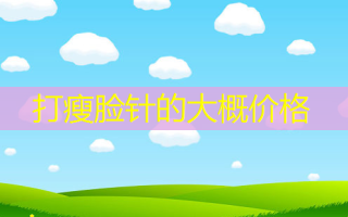 打瘦脸针的大概价格
