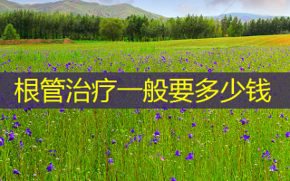 根管一般要多少钱