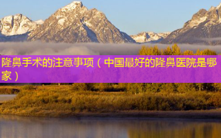 隆鼻手术的注意事项（中国好的隆鼻医院是哪家）