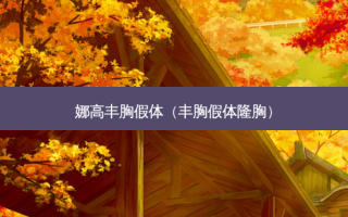 娜高丰胸假体（丰胸假体隆胸）