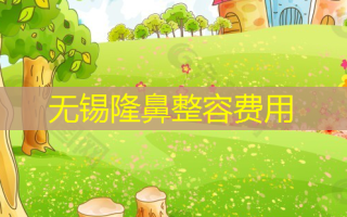 无锡隆鼻整容费用