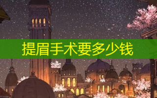 提眉手术要多少钱