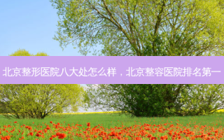 北京整形医院八大处怎么样，北京整容医院