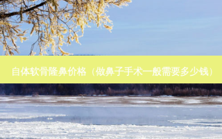 自体软骨隆鼻价格（做鼻子手术一般需要多少钱）