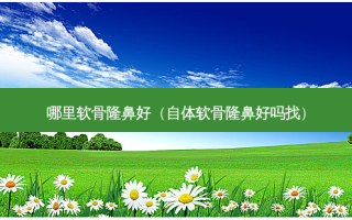 哪里软骨隆鼻好（自体软骨隆鼻好吗找）