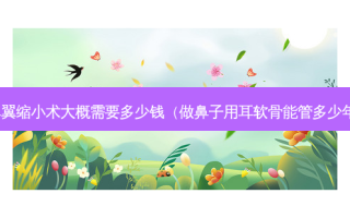 鼻翼缩小术大概需要多少钱（做鼻子用耳软骨能管多少年）