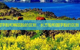 国字脸和椭圆脸的区别，长方脸和国字脸的区别