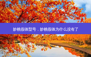 妙桃假体型号，妙桃假体为什么没有了