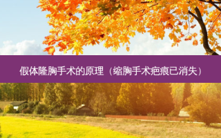 假体隆胸手术的原理（缩胸手术疤痕已消失）