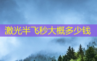 激光半飞秒大概多少钱