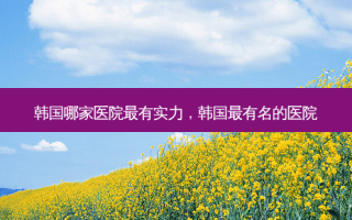 韩国哪家医院最有实力，韩国最有名的医院